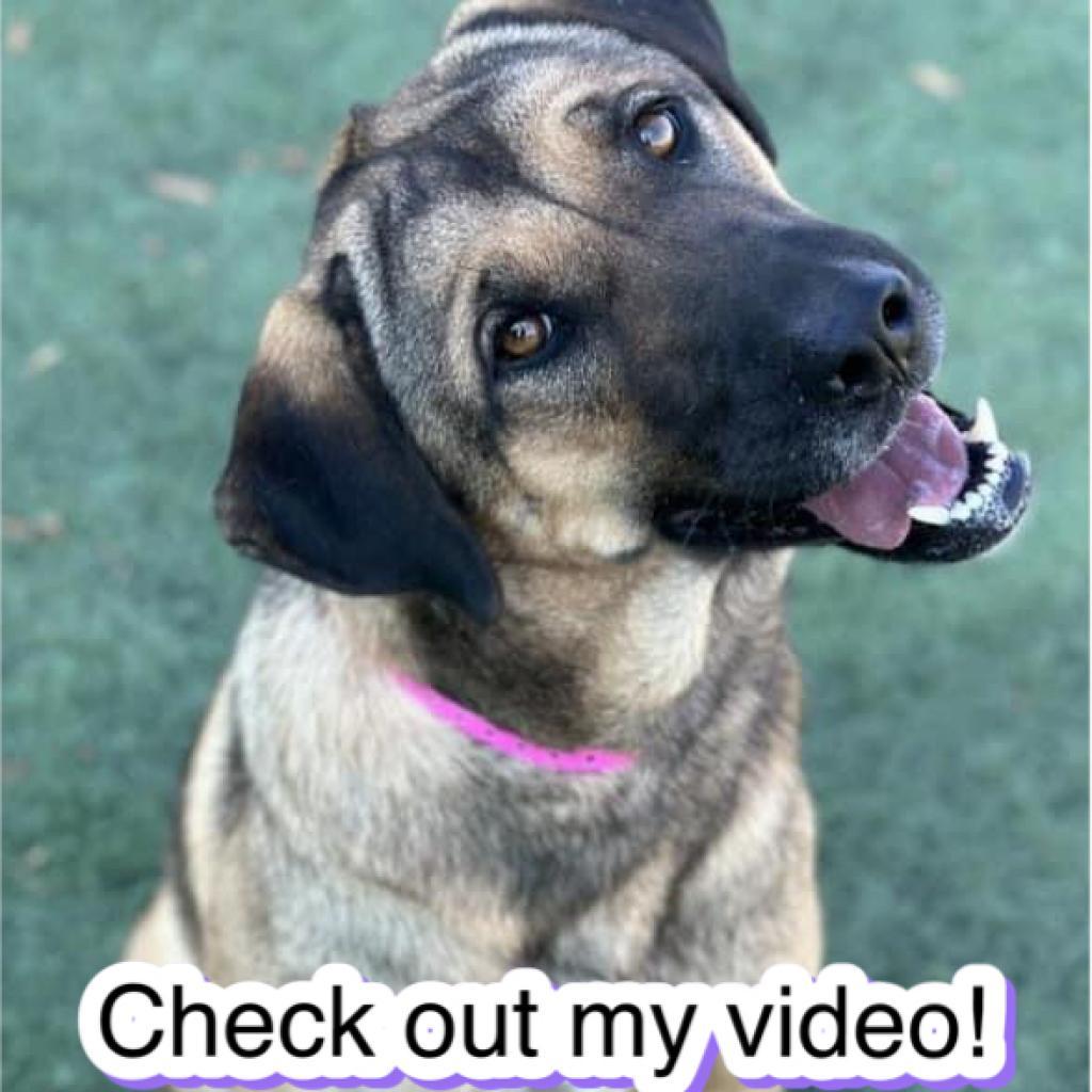 Roxy — thumbnail 5