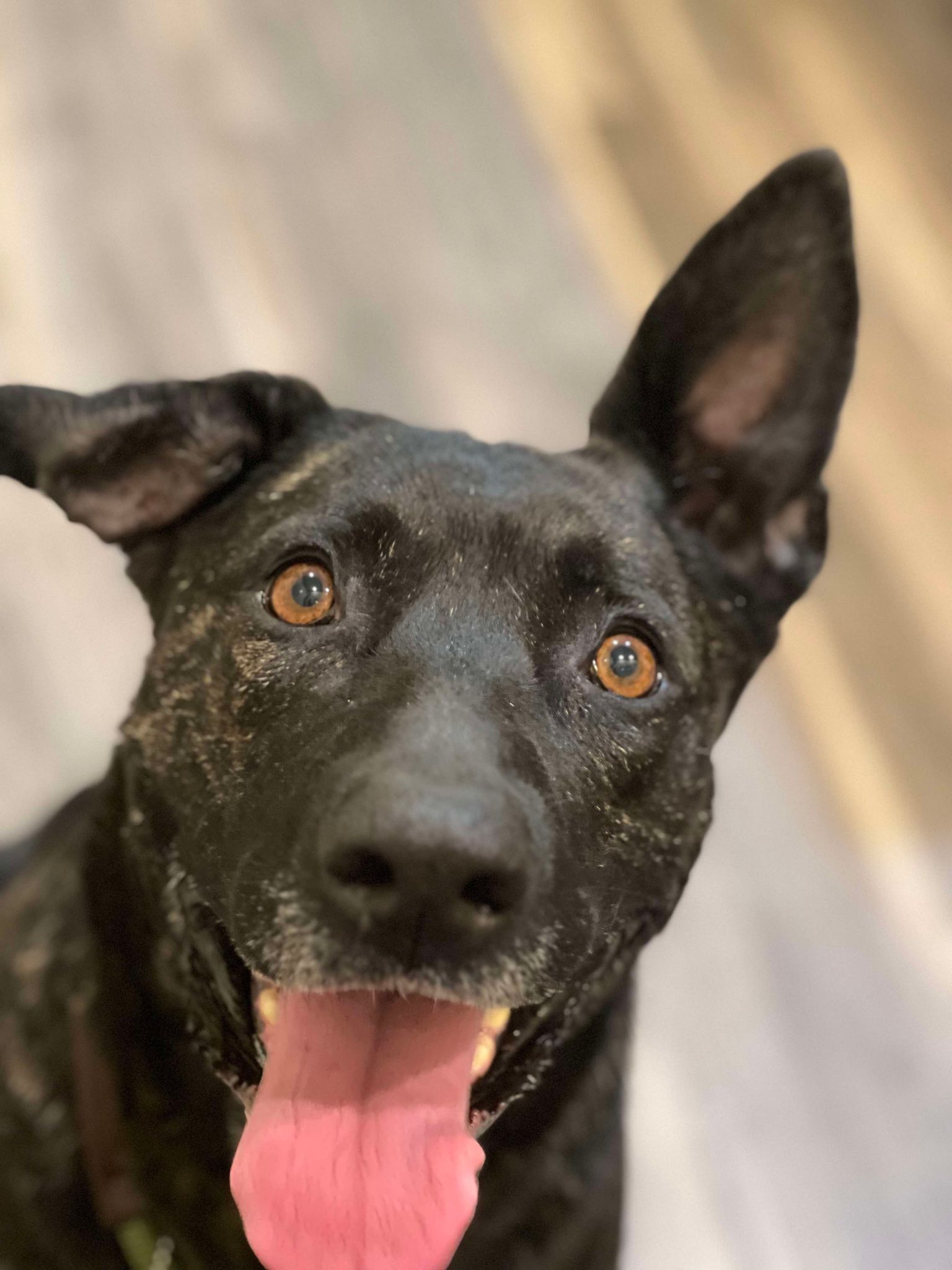 Emmie