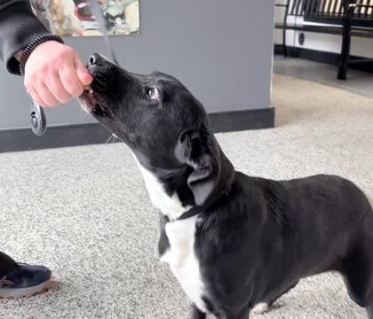 Velma — thumbnail 2