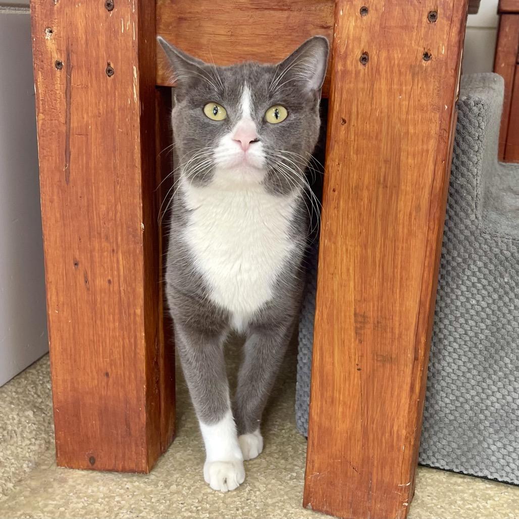 Florinda — thumbnail 2