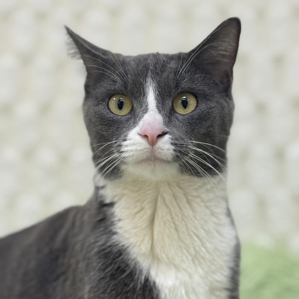 Florinda — thumbnail 3