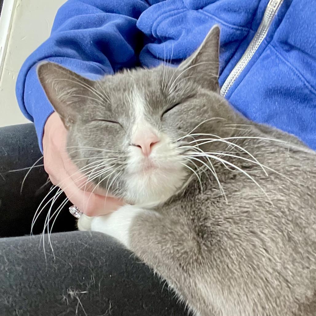 Florinda — thumbnail 4