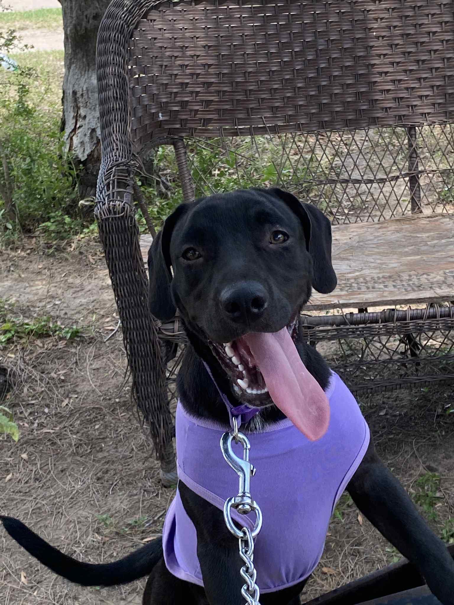 Marinara thumbnail 2