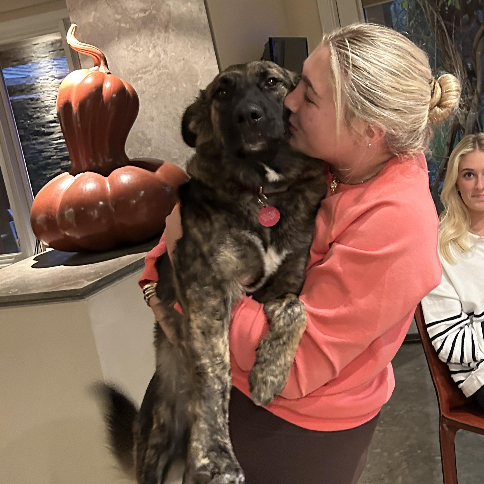 Enlarge Mina, a Adoptable mixed breed in Dallas, TX image 3/5