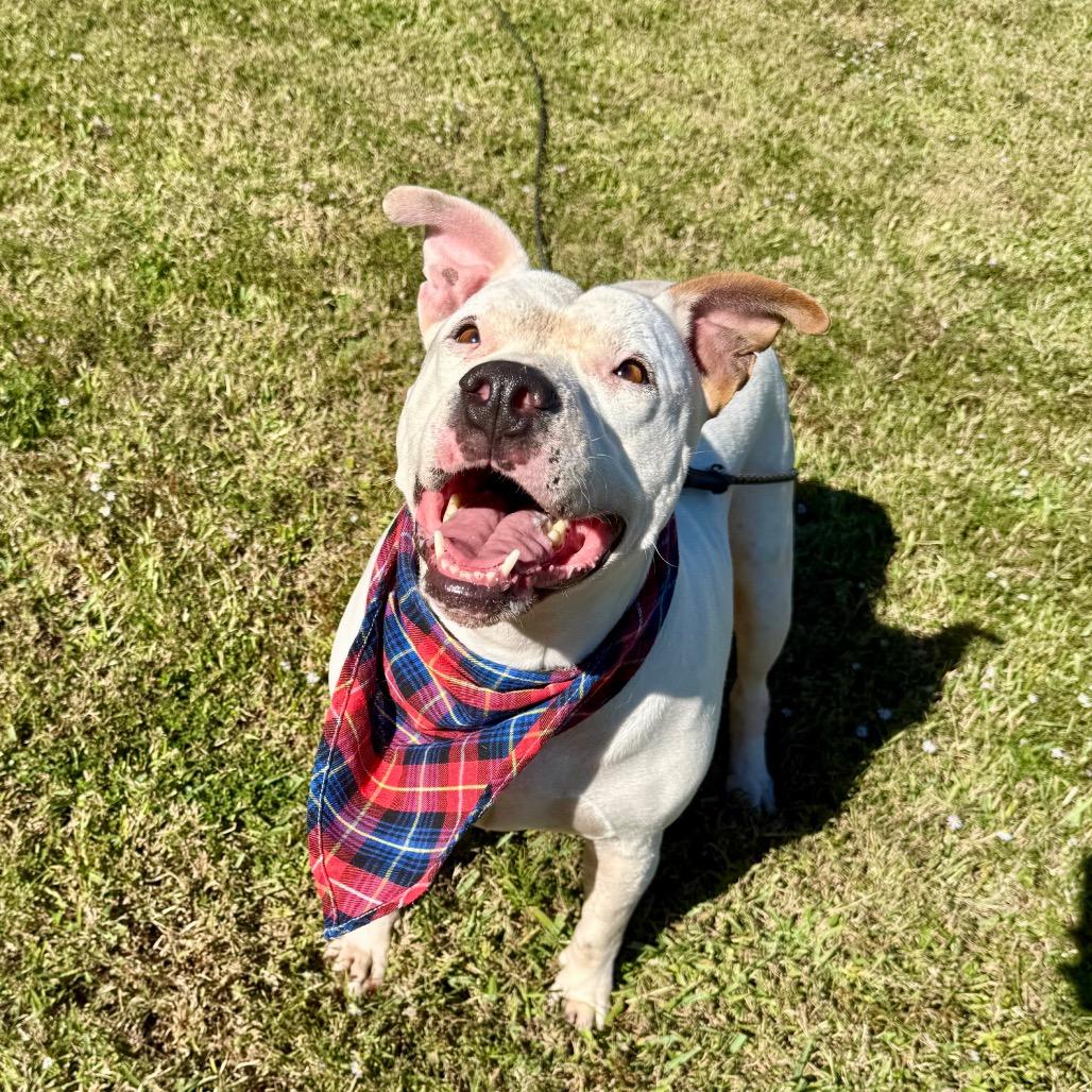 Mazda — thumbnail 6