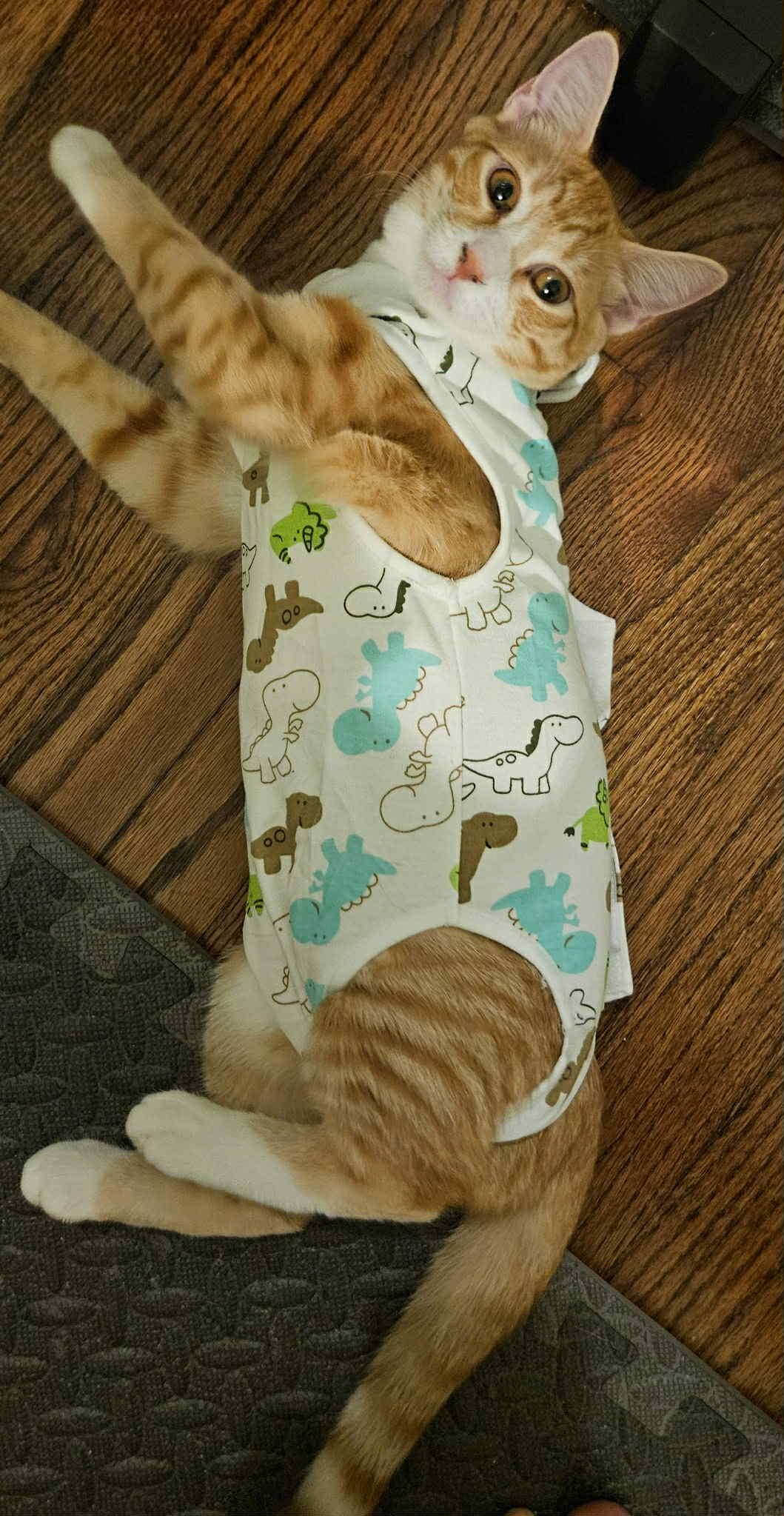 Phoenix & Onyx - Bonded Pair