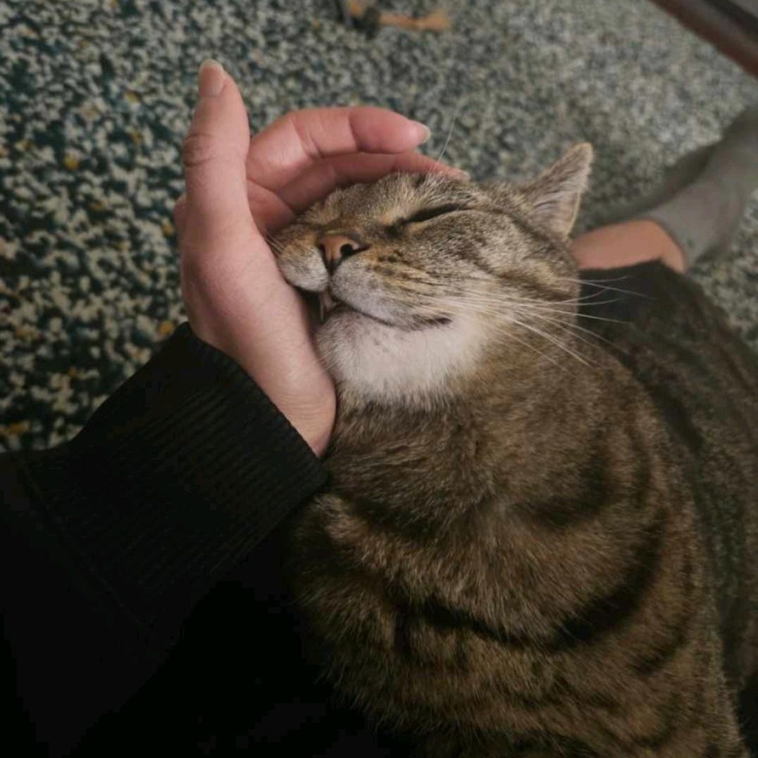 Big Lady