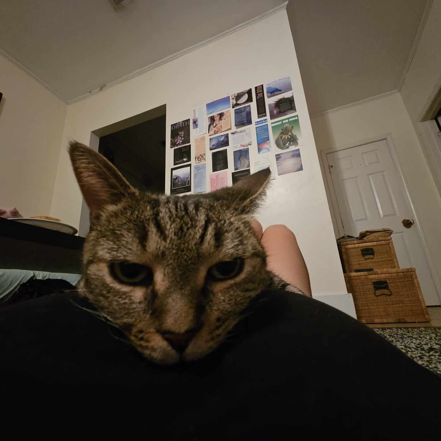 Big Lady