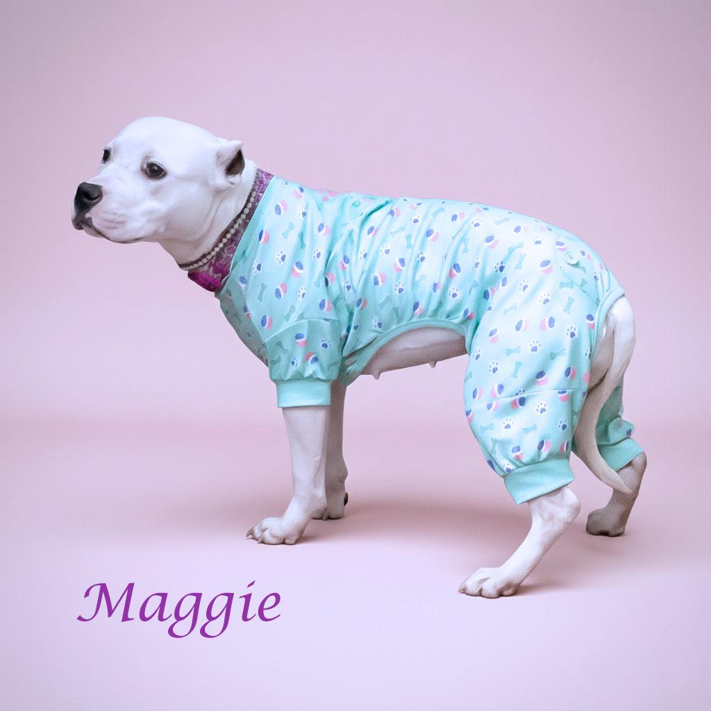Enlarge Maggie D26-012, a Adoptable Pit Bull Terrier in Lebanon, TN image 1/5