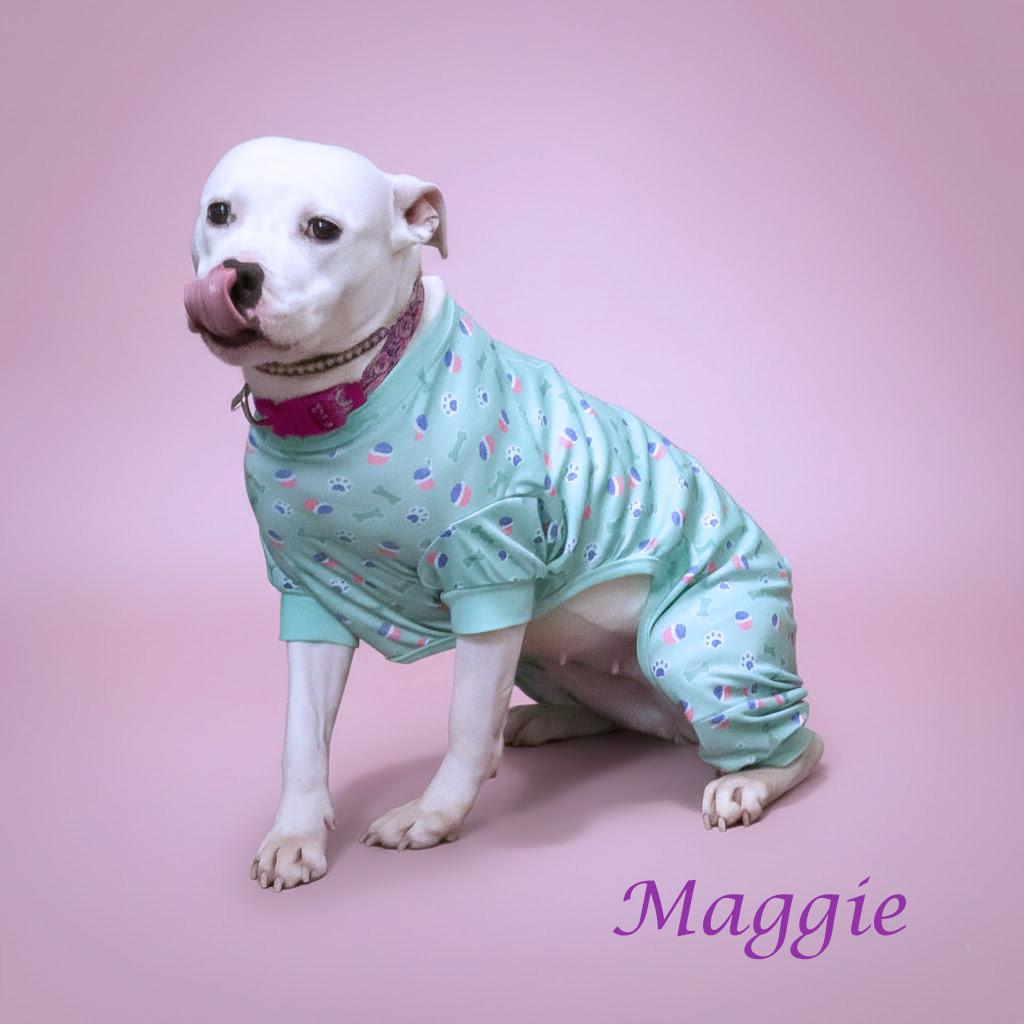 Enlarge Maggie D26-012, a Adoptable Pit Bull Terrier in Lebanon, TN image 3/5