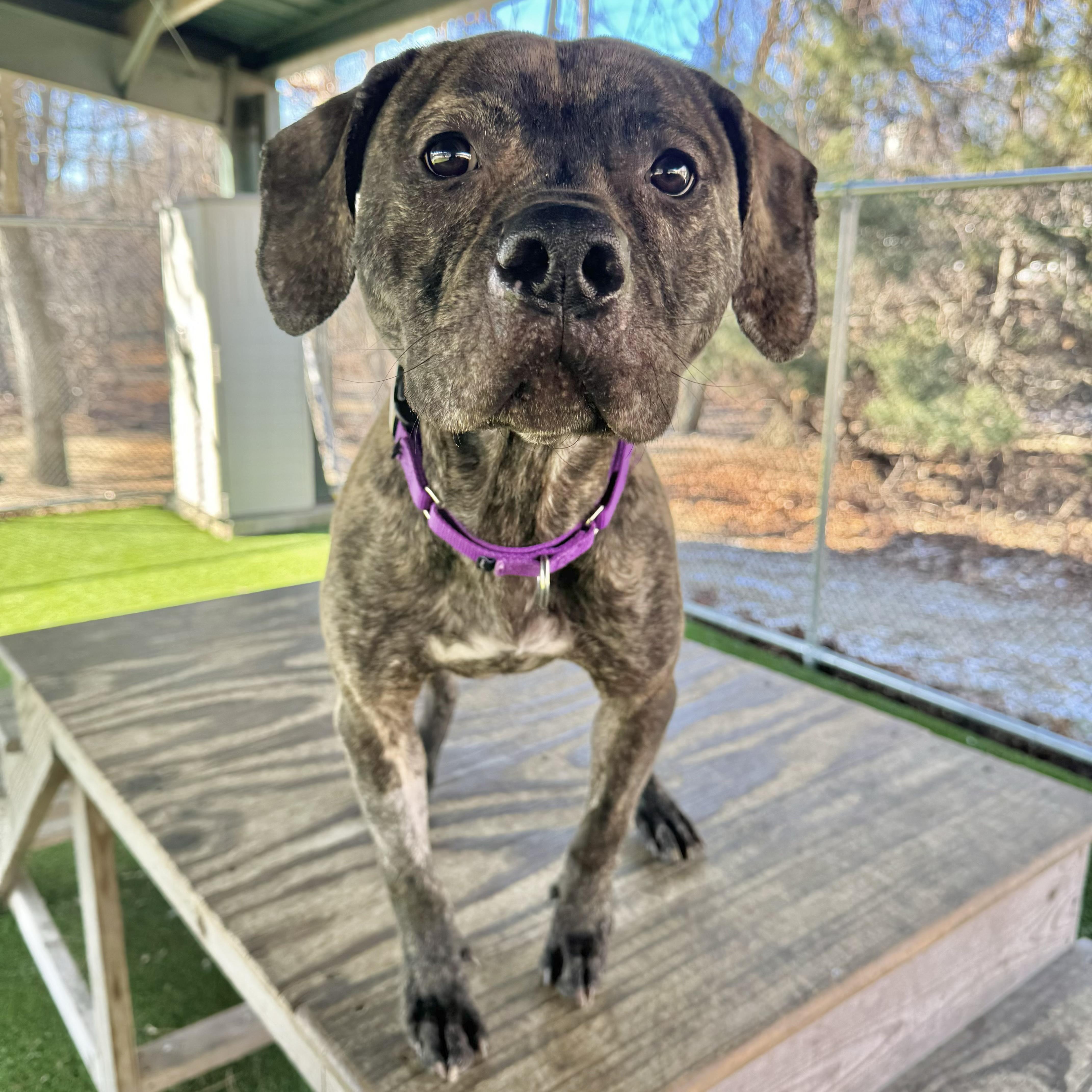 Flannigan thumbnail 3