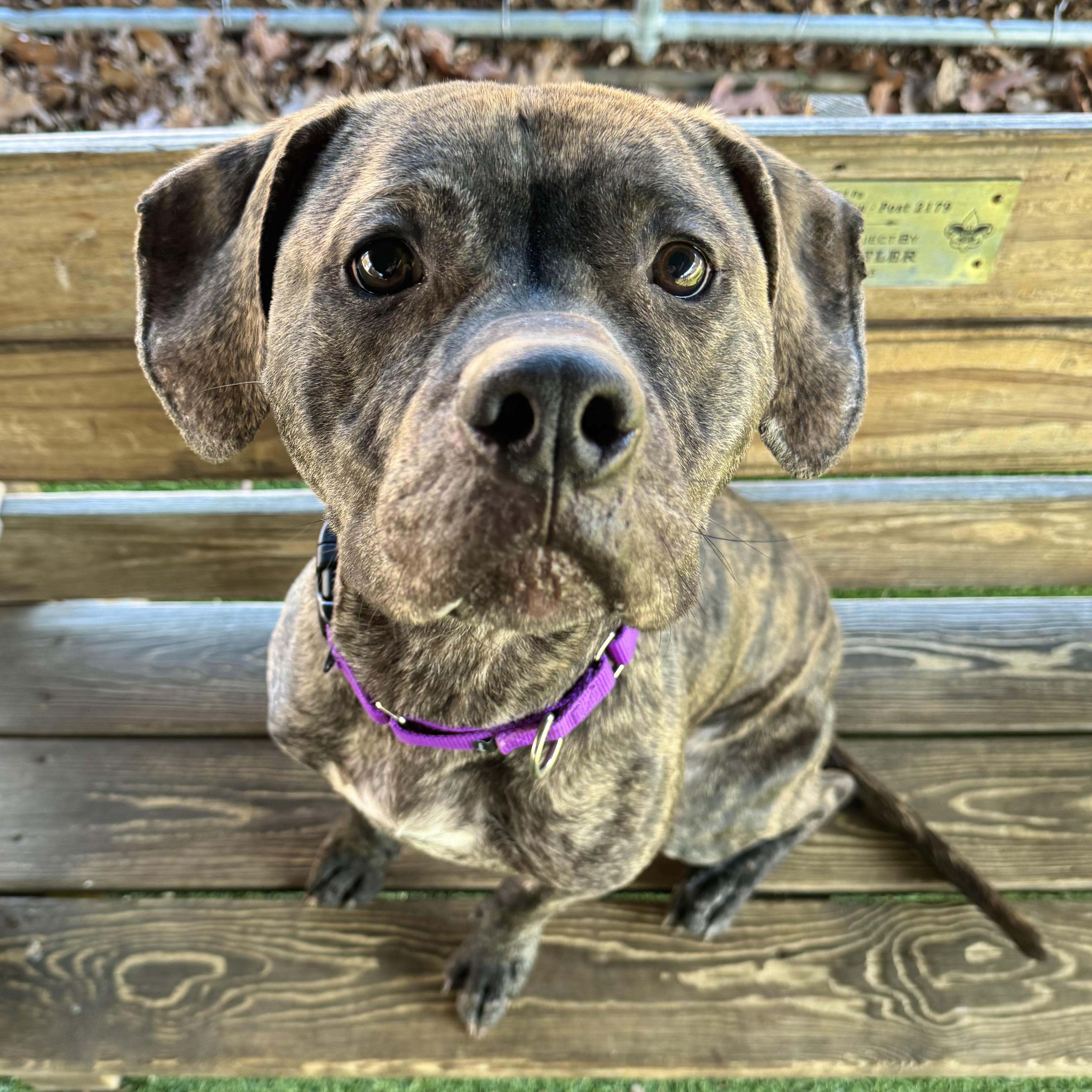 Flannigan thumbnail 2