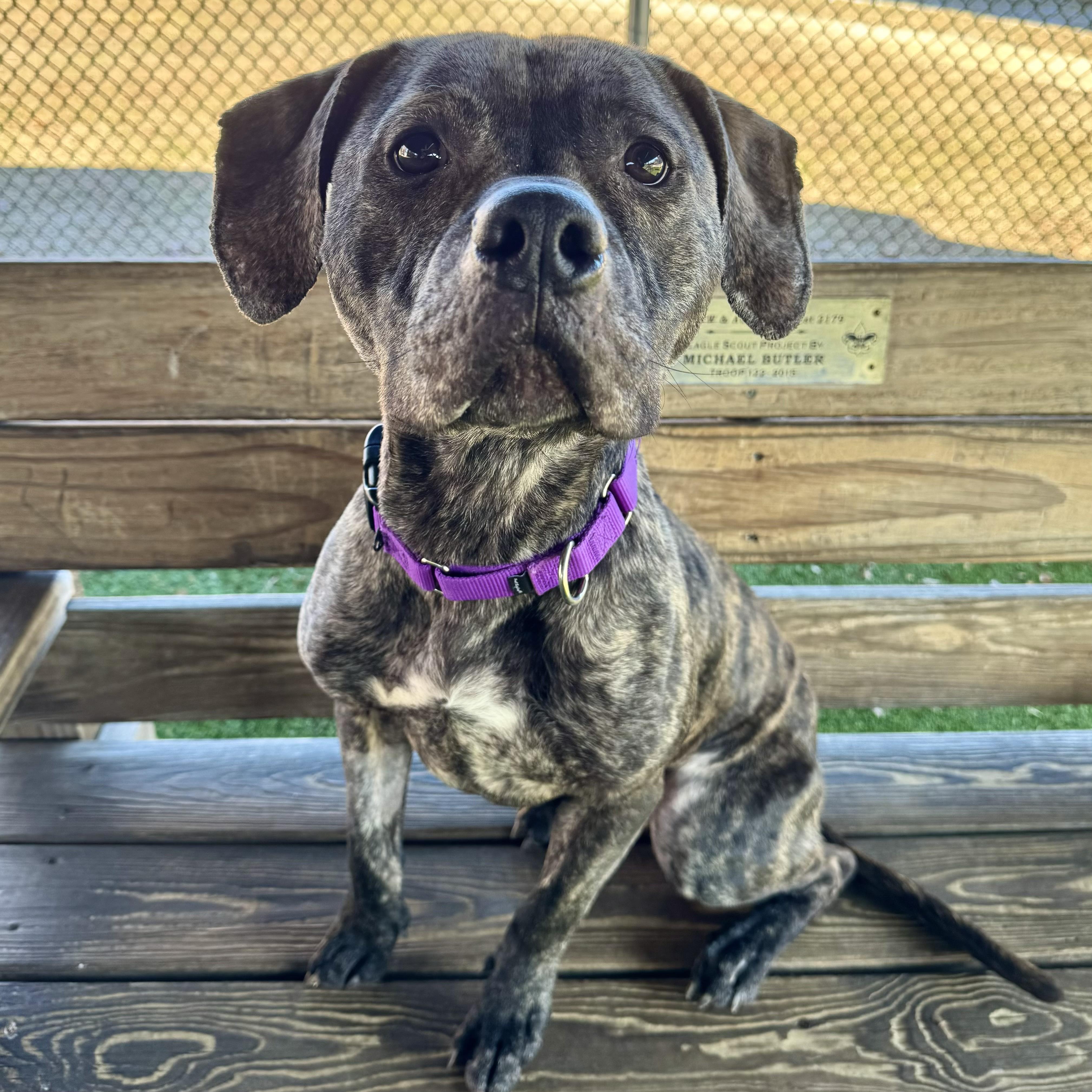 Flannigan thumbnail 4