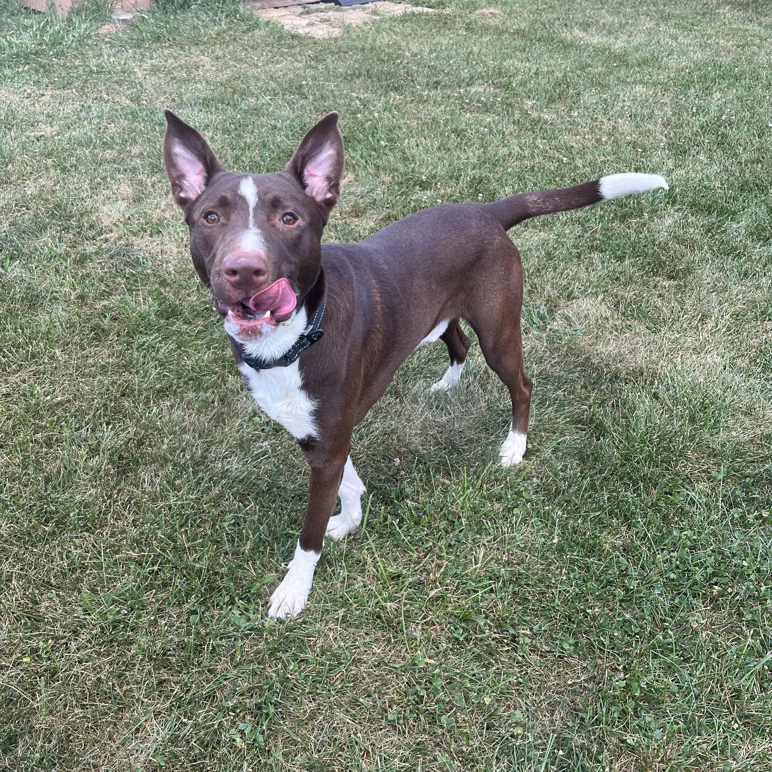 Carter