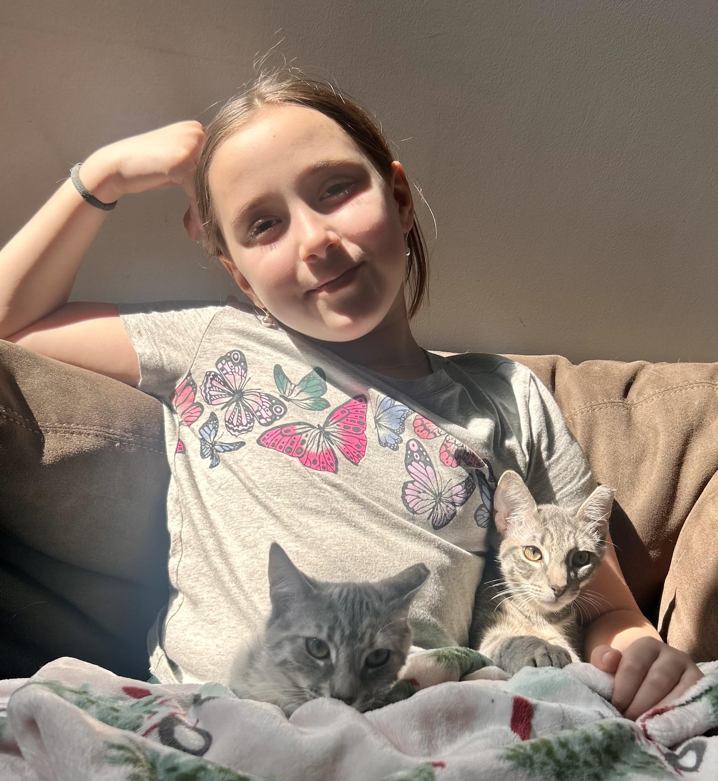 🐾Carrie & Kirby!!!!🐾, ADOPTABLE, Kitten Male Domestic Short Hair & Tabby.