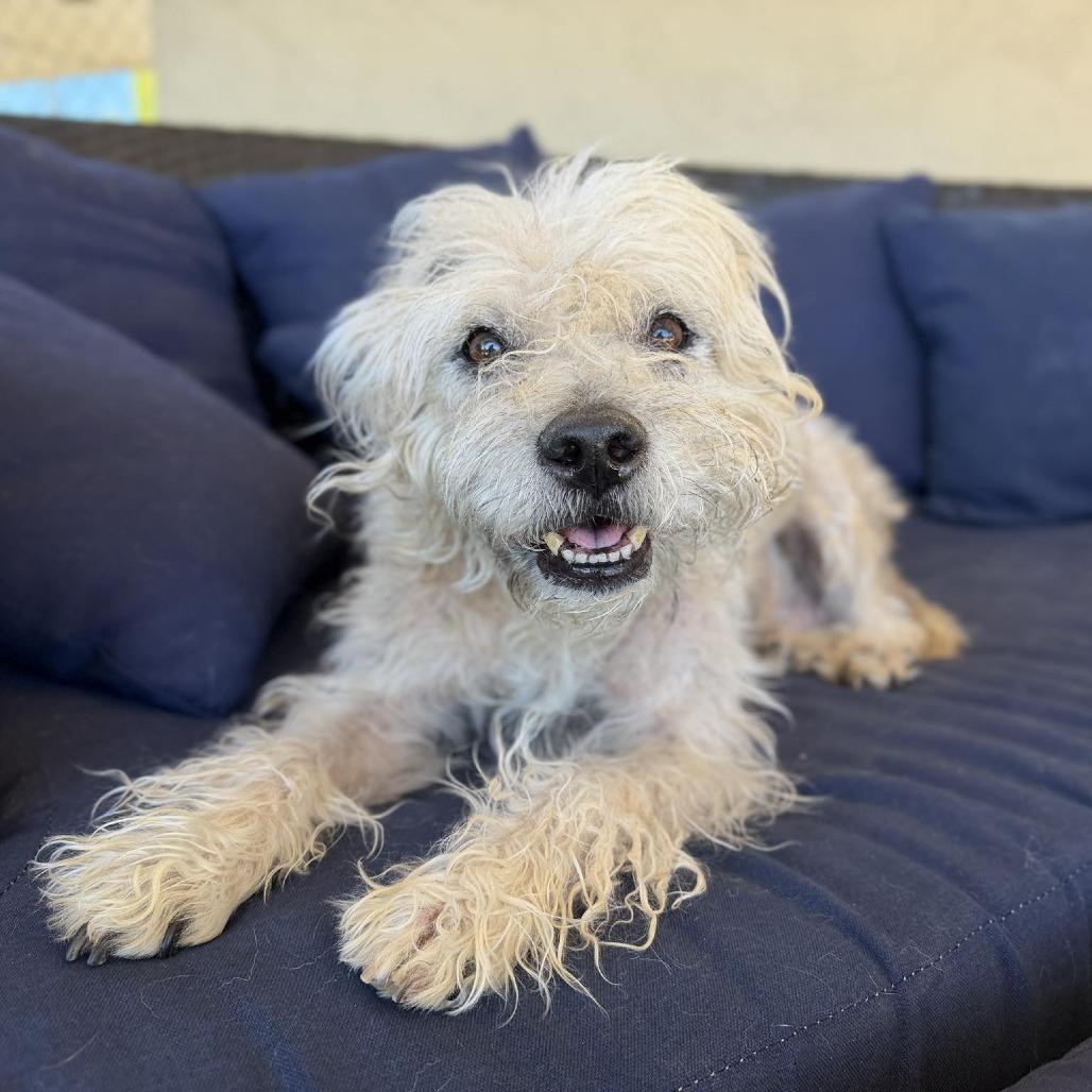 Tramp — thumbnail 3