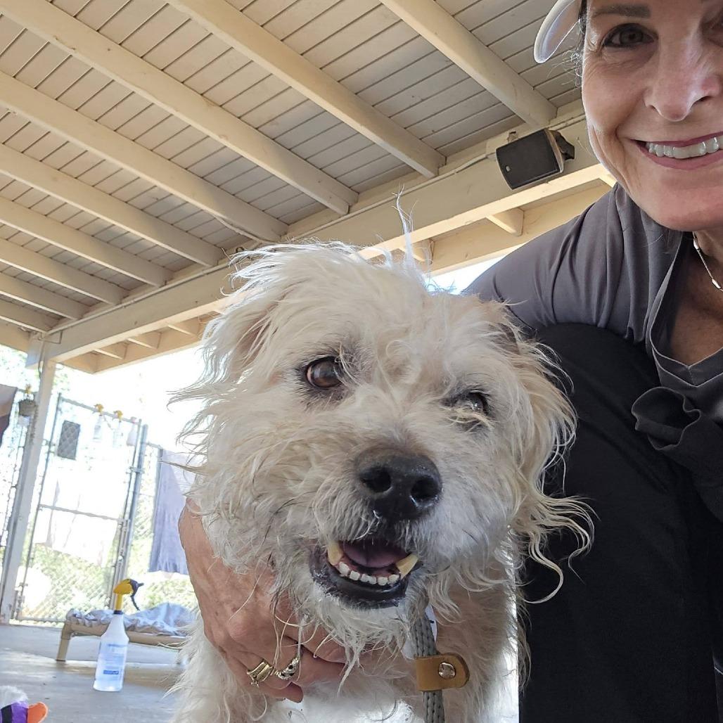 Tramp — thumbnail 4