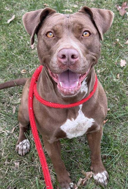 COCO — thumbnail 2