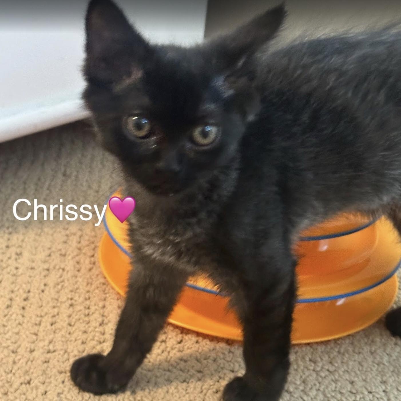Chrissy 4