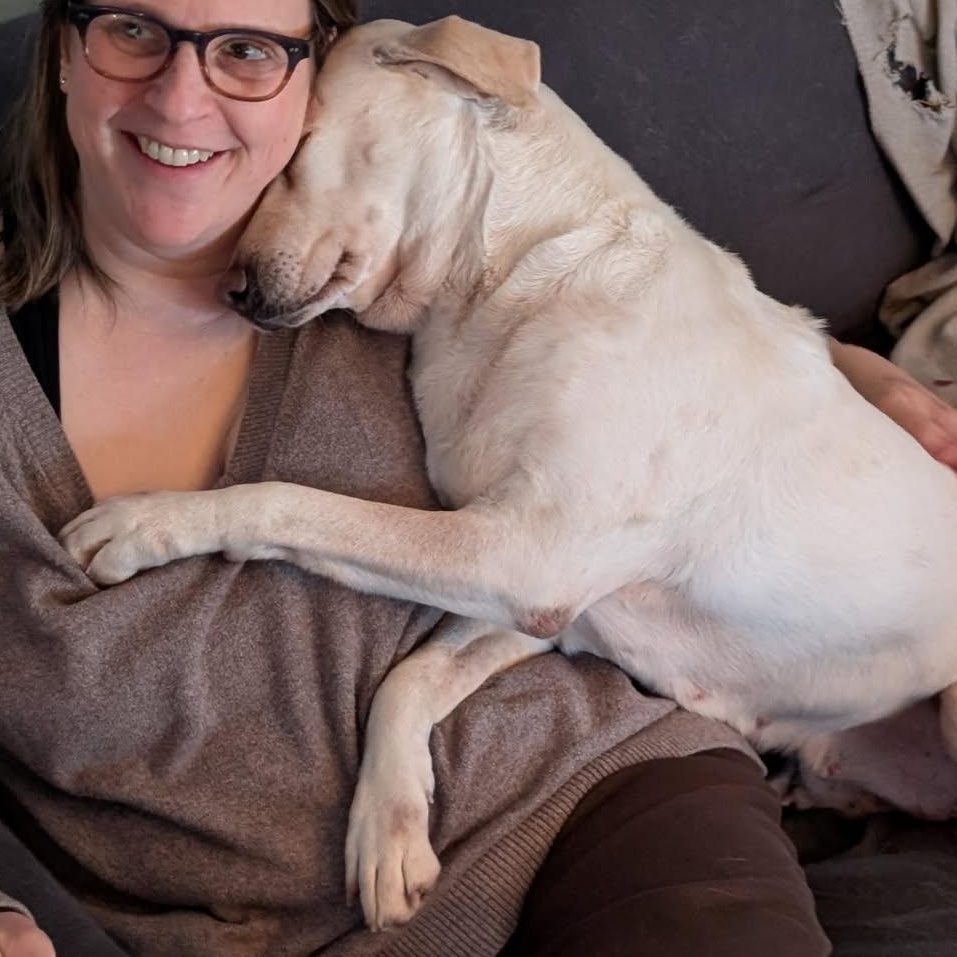 Enlarge Terry , an adoption pending mixed breed in Burlington, VT image 4/6