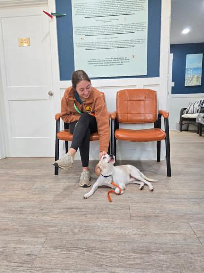 Enlarge Archie, a Adoptable mixed breed in Southern Pines, NC image 2/3