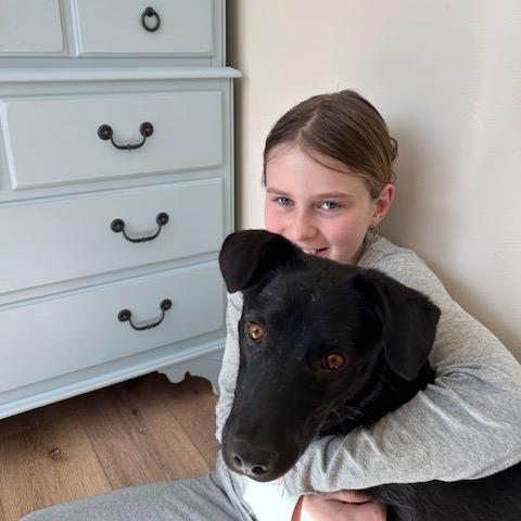 Ocean, a Adoptable mixed breed in Durango, CO image 3/5