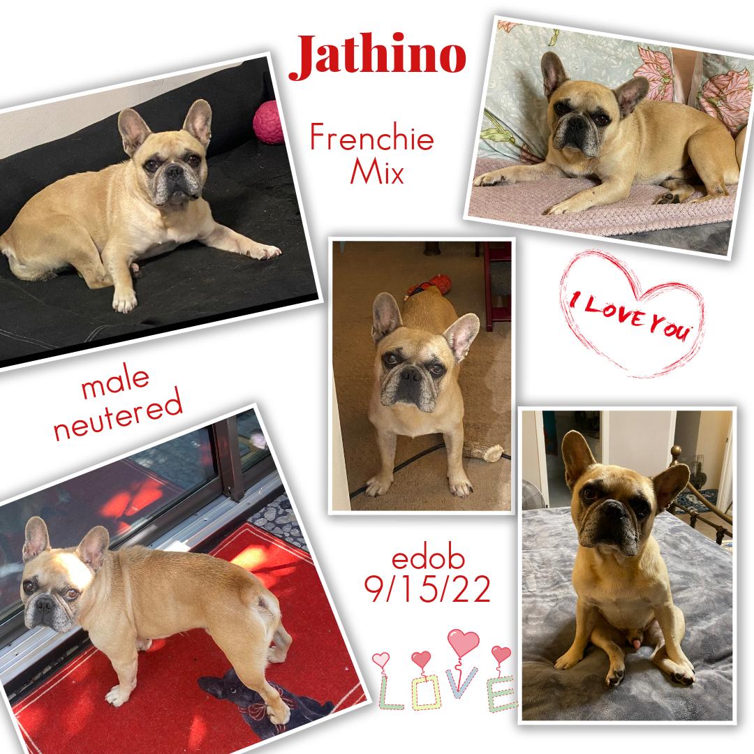 Jathino Slthw thumbnail 4