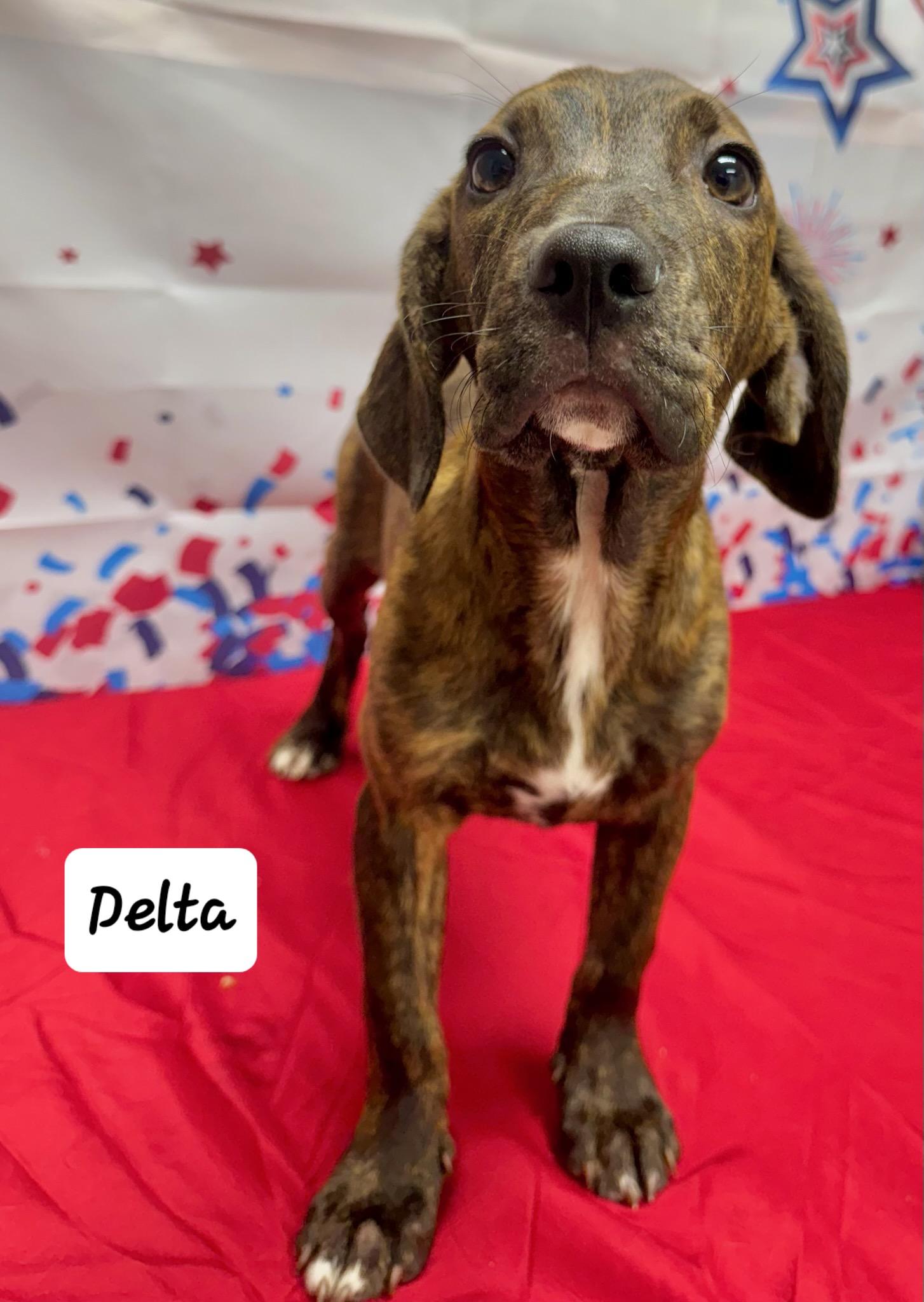 Delta