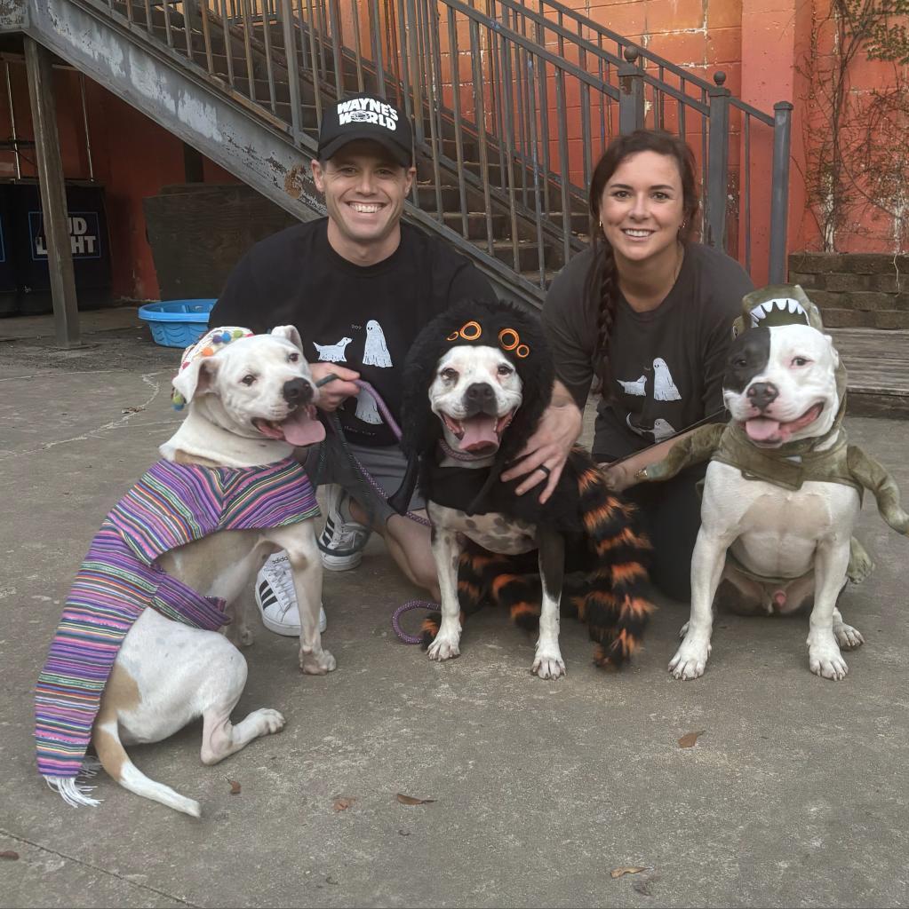 Grace (Stacey), a Adoptable Mixed Breed in Starkville, MS image 5/6