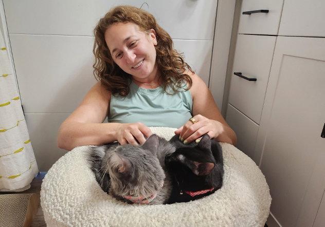 Addie (black) & Party (gray), a Adopted mixed breed in Hampstead, NC image 2/3