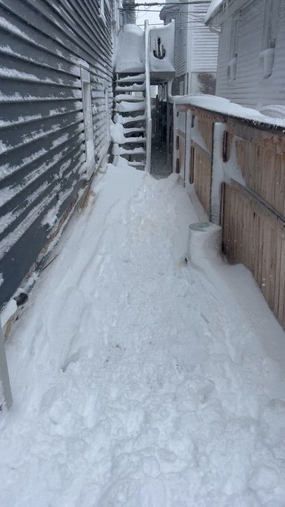 Enlarge Patches, a ADOPTABLE mixed breed in Long Beach, NY video 6/6