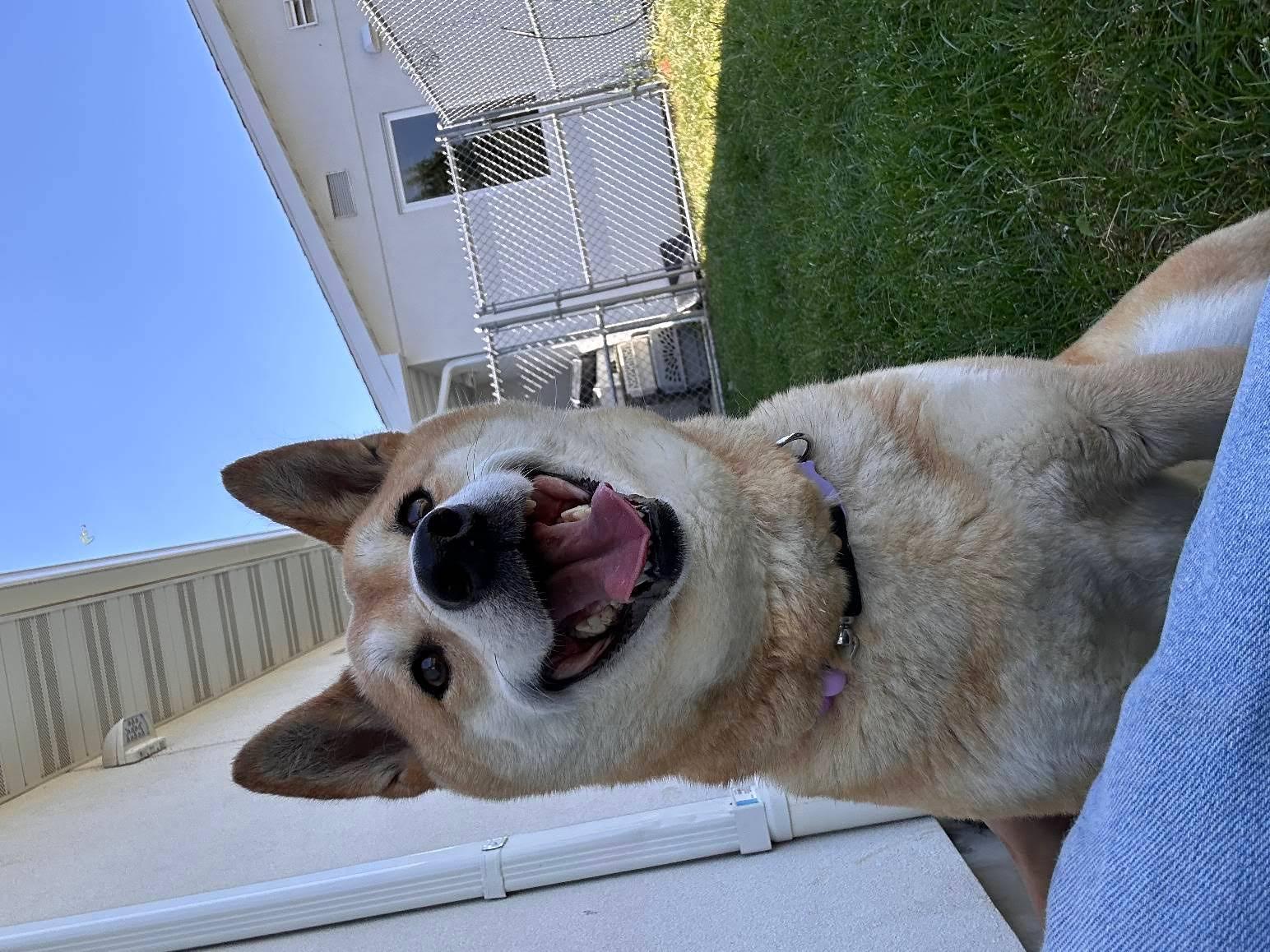Skye