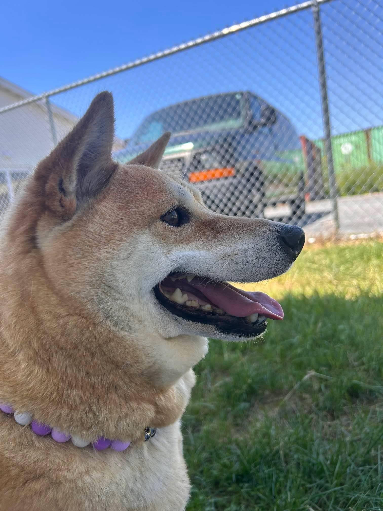 Skye
