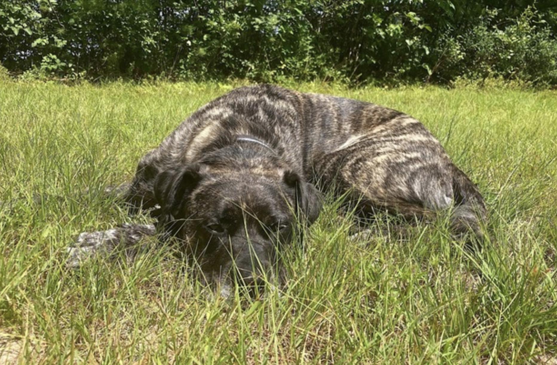 Yeager photo 4