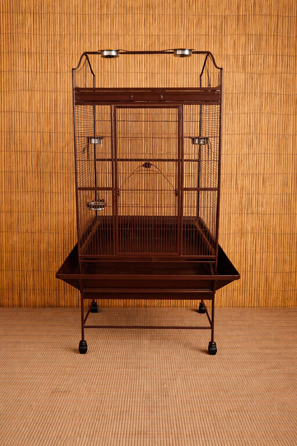 Alki – 23 YO M - Severe Macaw, a ADOPTABLE Macaw in Vancouver, WA image 6/6