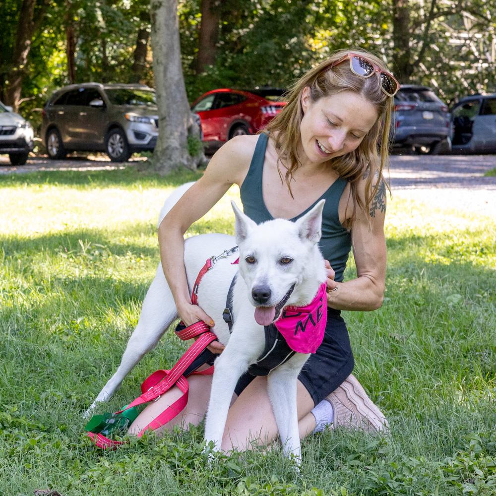 Enlarge Opal (Female), a Adoptable mixed breed in West Grove, PA image 2/6