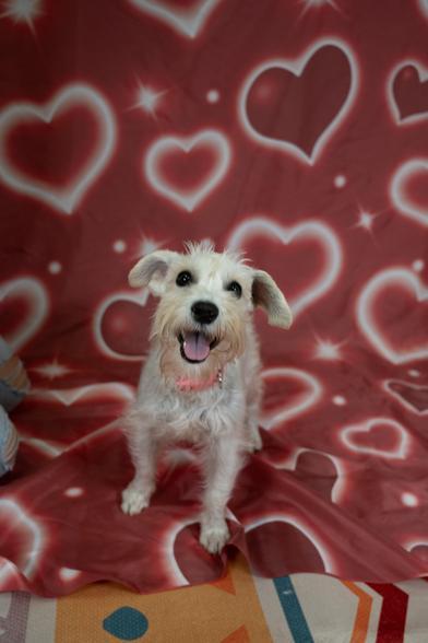 Penny — thumbnail 4