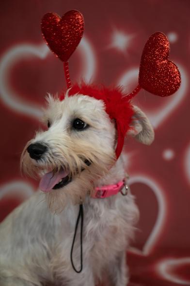 Penny — thumbnail 5