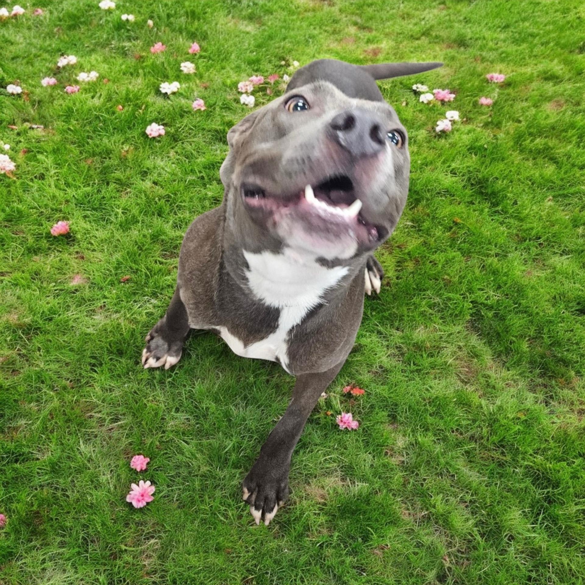 Lola photo 3