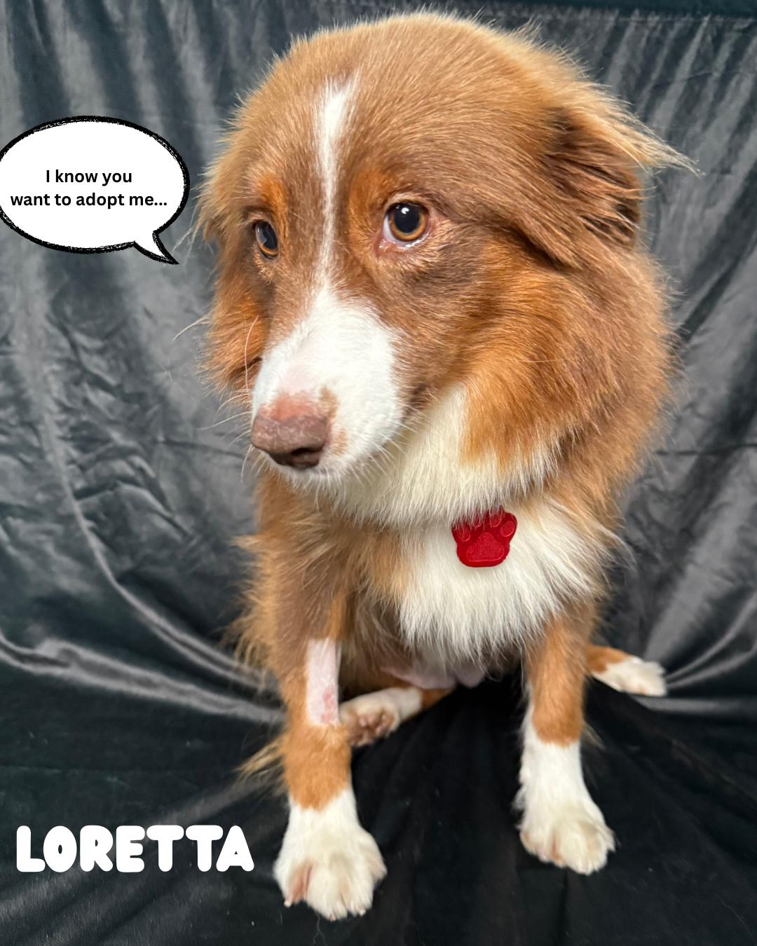 Loretta