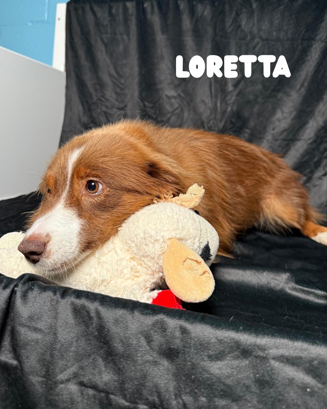 Loretta
