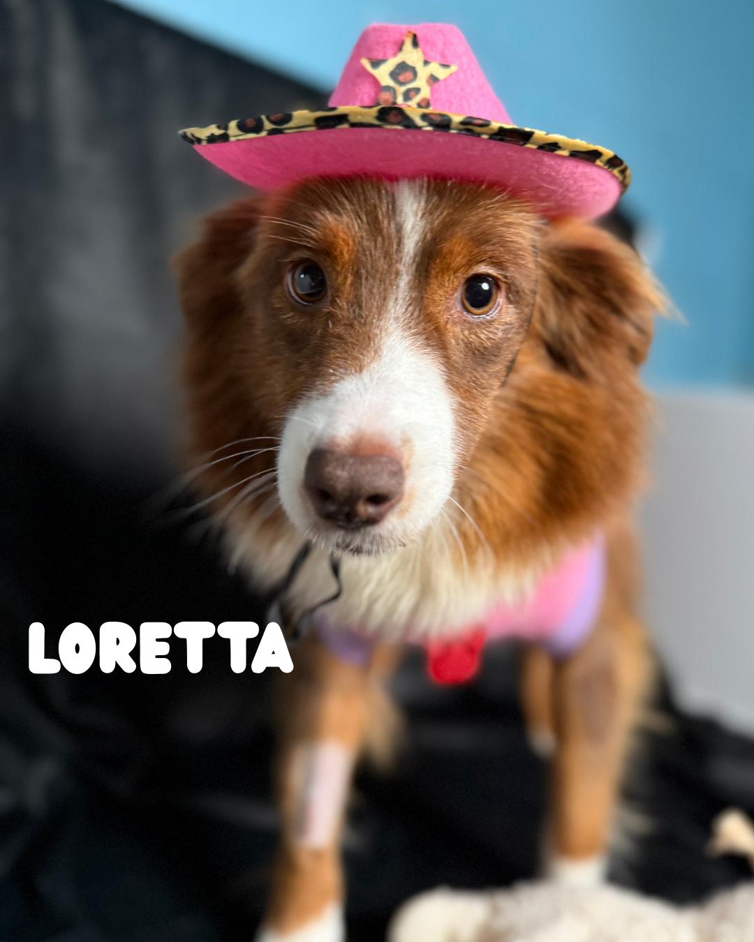 Loretta