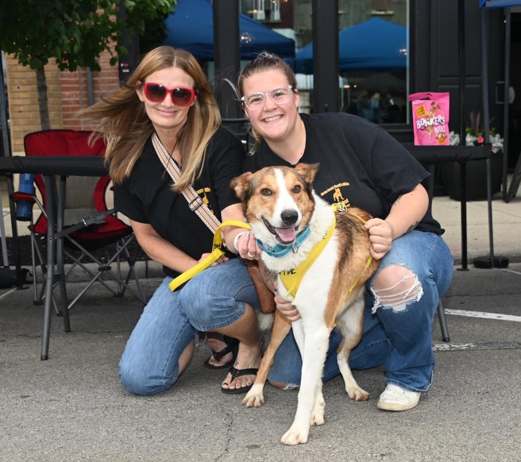 Enlarge Milo, a Adoptable mixed breed in Marion, OH image 4/6