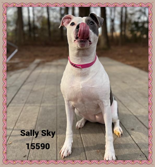 Sally Sky thumbnail 2