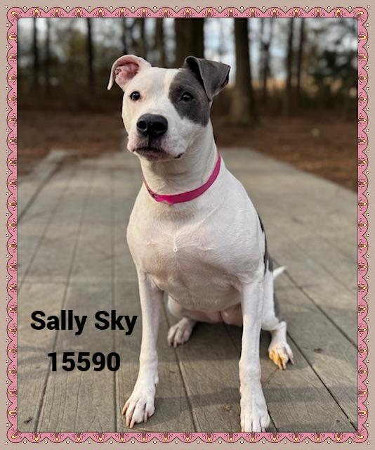 Sally Sky thumbnail 3