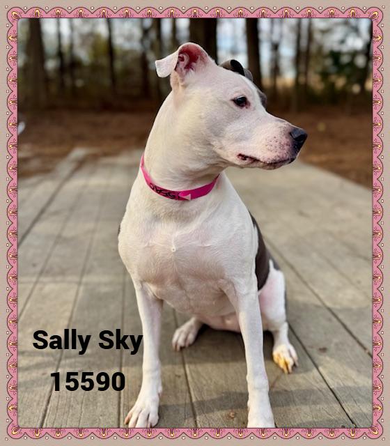 Sally Sky thumbnail 4