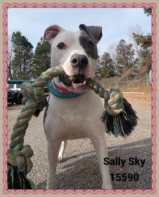 Sally Sky thumbnail 5