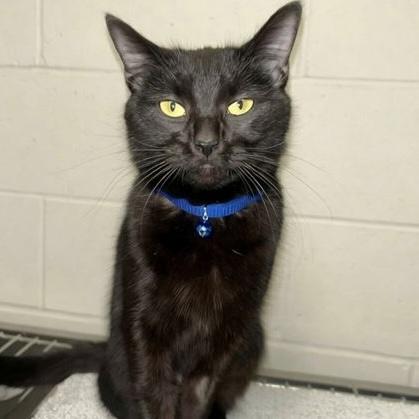 Elenor — thumbnail 2