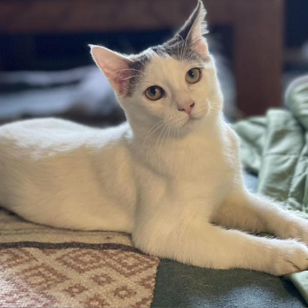 Phil — thumbnail 2