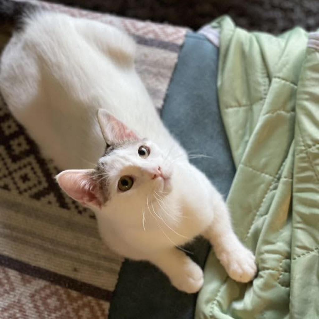 Phil — thumbnail 3